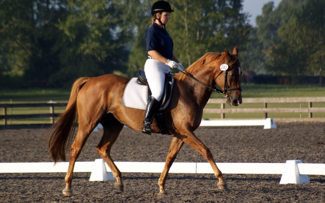 Dressage